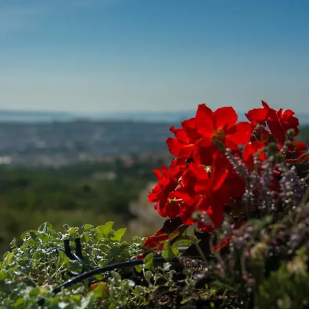Hills With Magical View Of Split Apartamento Solin